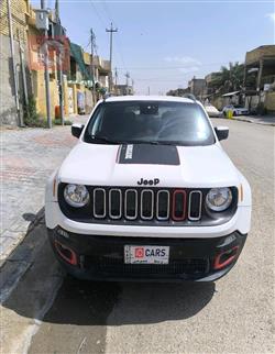 جيب رينيجيد